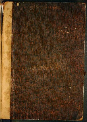Liber in laudem Mariae virginis