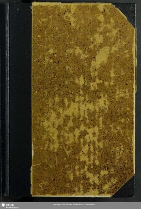 2.1875: Mitteilungen des Vereins für Geschichte und Topographie Dresdens und seiner Umgebung