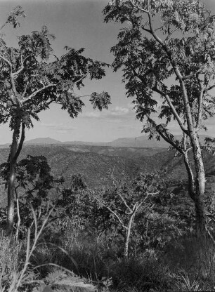 Hügellandschaft : Hügellandschaft im Hochland Abessiniens