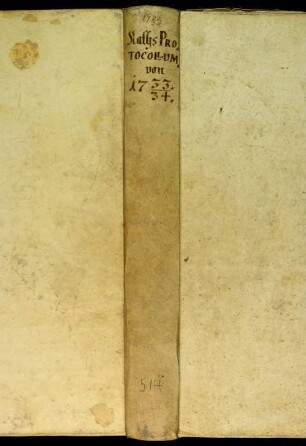 Ratsprotokolle, 1733 Sept. 1. - 1734 Aug. 26.