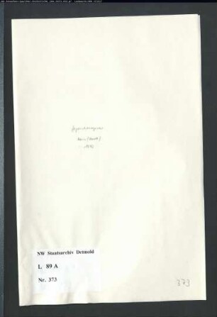Gogerichtsregister Stadt Horn (Bruchstücke)
