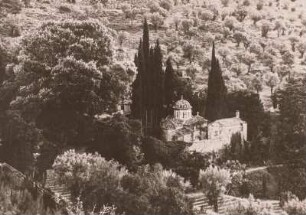 Griechenland, Olivenhain