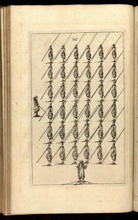 [Abb.] 147.
