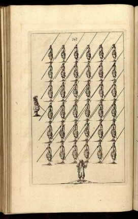 [Abb.] 147.