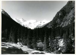 Schweiz, Graubünden. Ostalpen, Berninagruppe, Roseggletscher von Pontresina aus gesehen