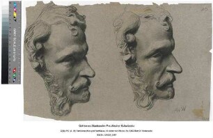 Studie zum"Berliner Kongreß", Graf Andrassy
