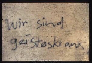 wir sind geisteskrank