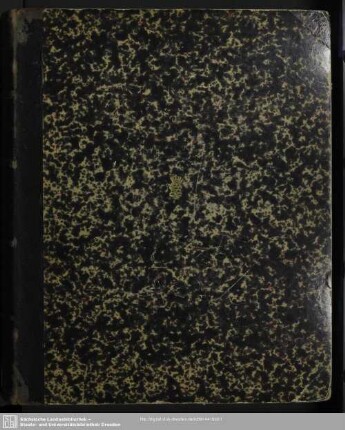 4: Neue Käfer von Celebes