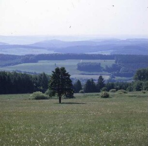 Hessen. Knüllgebirge. Blick über Wiesen