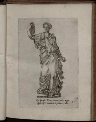 XVII. Ex Nimphis Dian[e]& ibidem, veste e nigro lapide, capite manibus, et pedibus ex albo.
