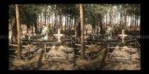 Kriegsgräber im Wald bei Lowicz