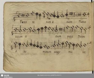 [Anonymus:] Praeter rerum seriem