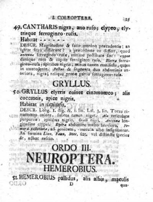 Ordo III. Neuroptera