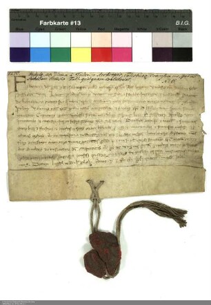 Indulgenzbrief Friedrichs [II. von Walchen], Erzbischof von Salzburg, für das Stift Fulda