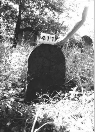 Grabstein 411
