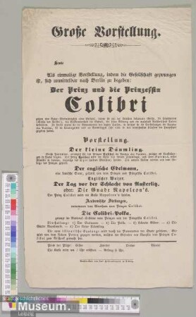 Der Prinz und Die Prinzessin Colibri