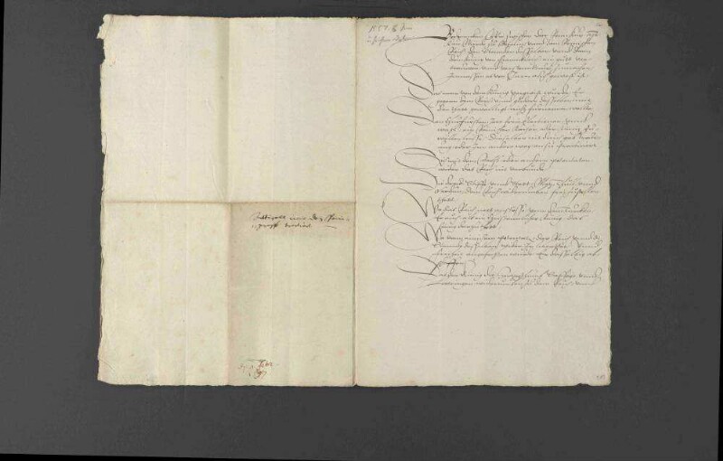 Vorschläge zur Verbesserung des Verhältnisses zwischen König Ferdinand I. und den Reichsständen mit König Heinrich II. von Frankreich.