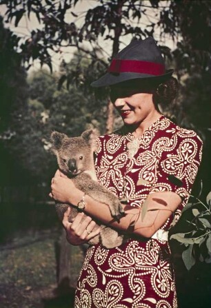 Miss Betty Lynds mit einem Koala (Reisefotos Australien)