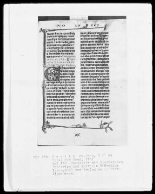 Camper Bibel, die zwei fragmentarisch erhaltenen Bände — Camper Bibel, Band 2 — Initiale E (usebius), Folio 130 recto
