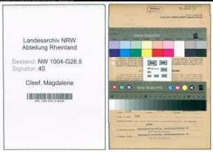 Entnazifizierung Magdalene Cleef , geb. 17.05.1901 (Angestellte)