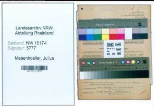 Entnazifizierung Julius Mesenhoeller , geb. 03.07.1916 (Kaufmann)