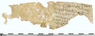 Paulus, 1. Brief an Timotheus