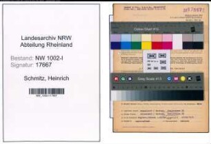 Entnazifizierung Heinrich Schmitz, geb. 19.03.1901 (Kaufm.Angest.)