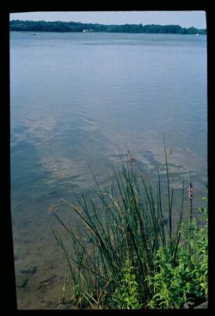 Rheinsberg See 1.8.78.