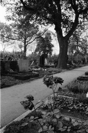 Karlsruher Hauptfriedhof an Allerheiligen.