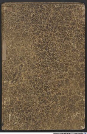 Glossae Clementinae