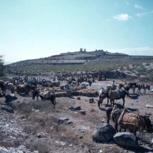 Thera = Santorini. Traubensammelplatz vor Emporion im Süden. Darüber Windmühlenhügel. K1