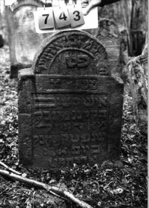 Grabstein 743 (Index: 99751620) Material: Sandstein Zustand: verwittert/beschädigt/Textverlust Maße HxBxT: 86x62x16 cm Beschreibung: Stele, eingezogener Rundbogenabschluß, rechteckiges Schriftfeld eingetieft Besonderheit: Schrift erhaben: Grabstein 743