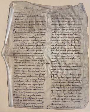 Commentarius in Lucam. Lib. V. Homilia in dominica XIV p. trinitatis - BSB Clm 29440(1