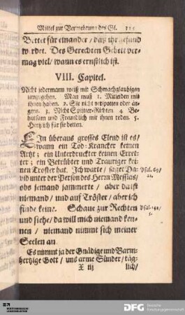 VIII. Capitel.