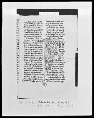 Bernhard von Clairvaux, Sermones in Cantitum Canticorum — Initiale F (icus), Folio 36 recto