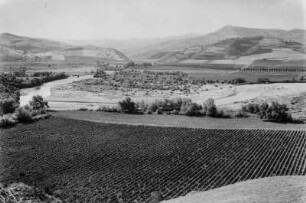 Weinanbau : Blick über Weinanbau. An den Berghängen befinden sich Weizen- und Getreidefelder.