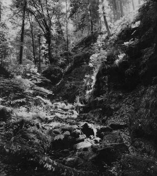 Archivfotografie "neckar_zwingenberg_6262"