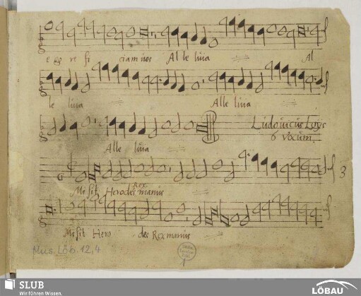 Loys, Ludovicus: Misit Herodes rex manus