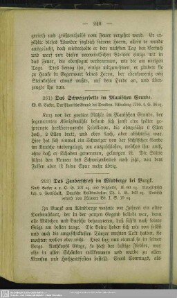 261. Das Schweizerbette im Plauischen Grunde
