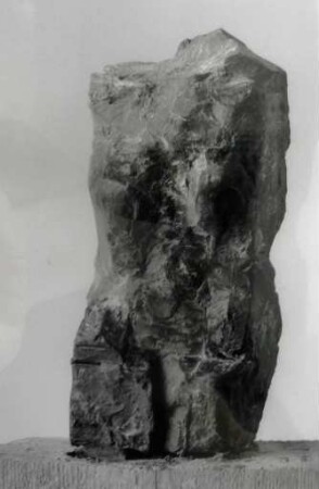 Torso