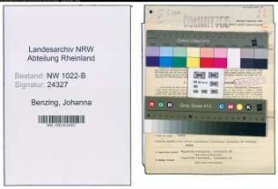 Entnazifizierung Johanna Benzing , geb. 20.02.1894 (Dentistin)