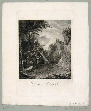 Landschaft im Mondschein mit Wanderer im Liebethaler Grund bei Lohmen in der Sächsischen Schweiz