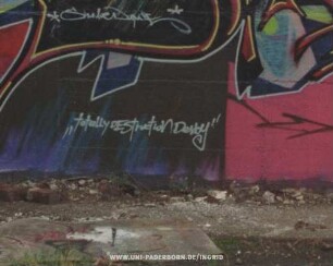 "totally DEStructionDerby"