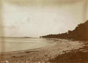Küste von Maloelap (Hamburger Südsee-Expedition 1908-1910)