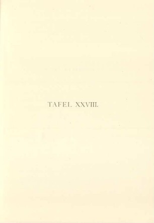 Tafel XXVIII.