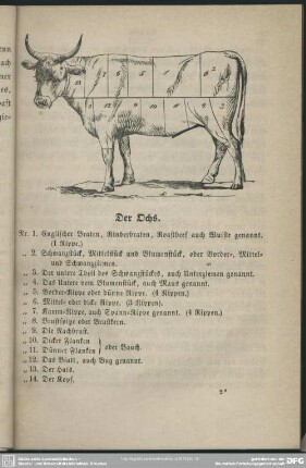 Der Ochs