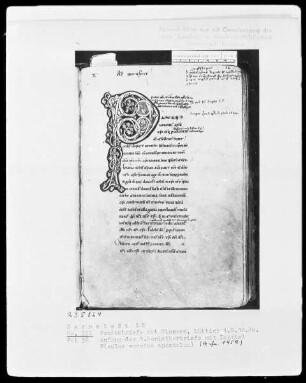 Paulus Apostolus, Epistulae cum glossis — Initiale P (aulus), Folio 36 recto