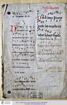 Das Ganze schließt: De sancto Stephano Antiphona ut supra
