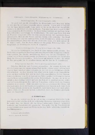 Schläfengrube, Fossa temporalis.
