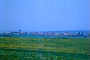 Blick über Grünland zum Ort